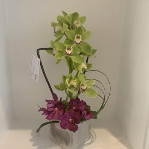 Arrangement 17
