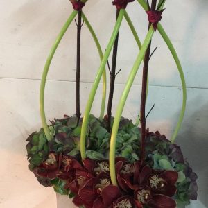 Arrangement 4